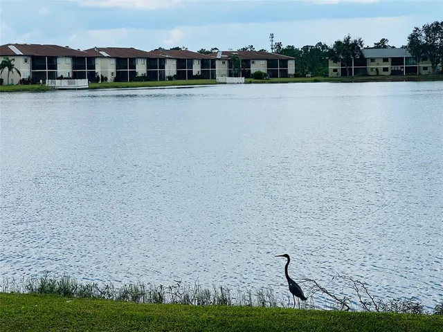 a view of a lake with a big yard