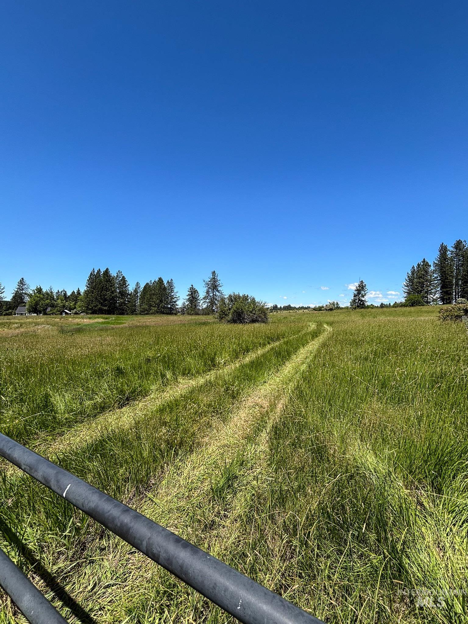 180 Williams Road Kooskia, ID 83539 - Photo 8 of 10