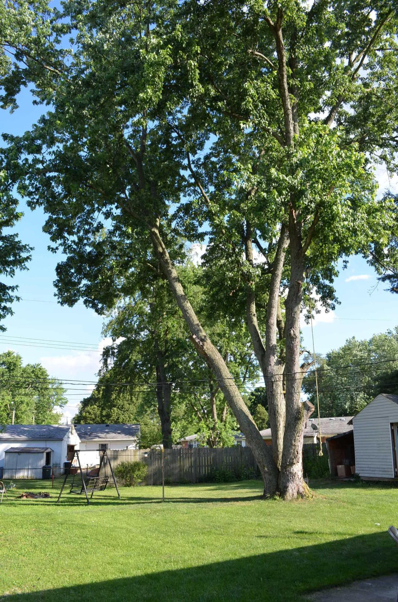 3252 Faycrest Road Columbus, OH 43232 - Photo 19 of 25 Gallery Image 19