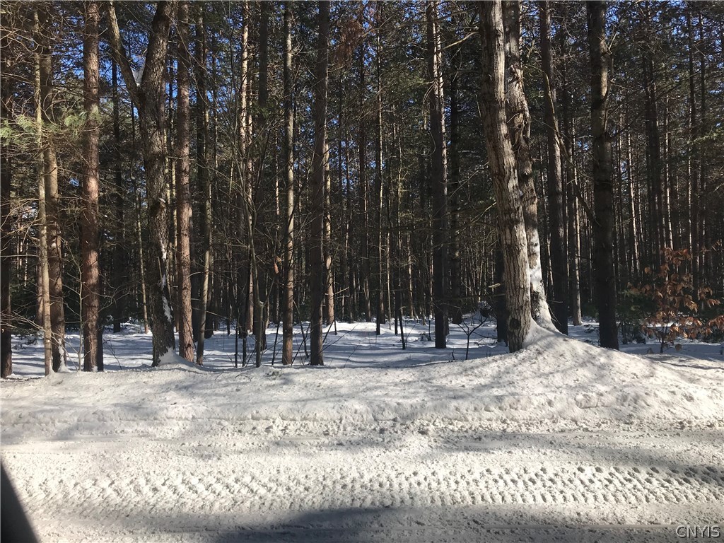 Lot 5 Partridgeville Road Brantingham, NY 13312 - Photo 1 of 1