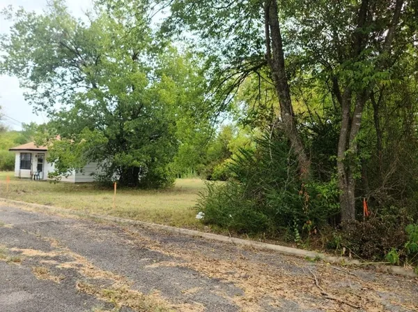 a view of a trees with a trees
