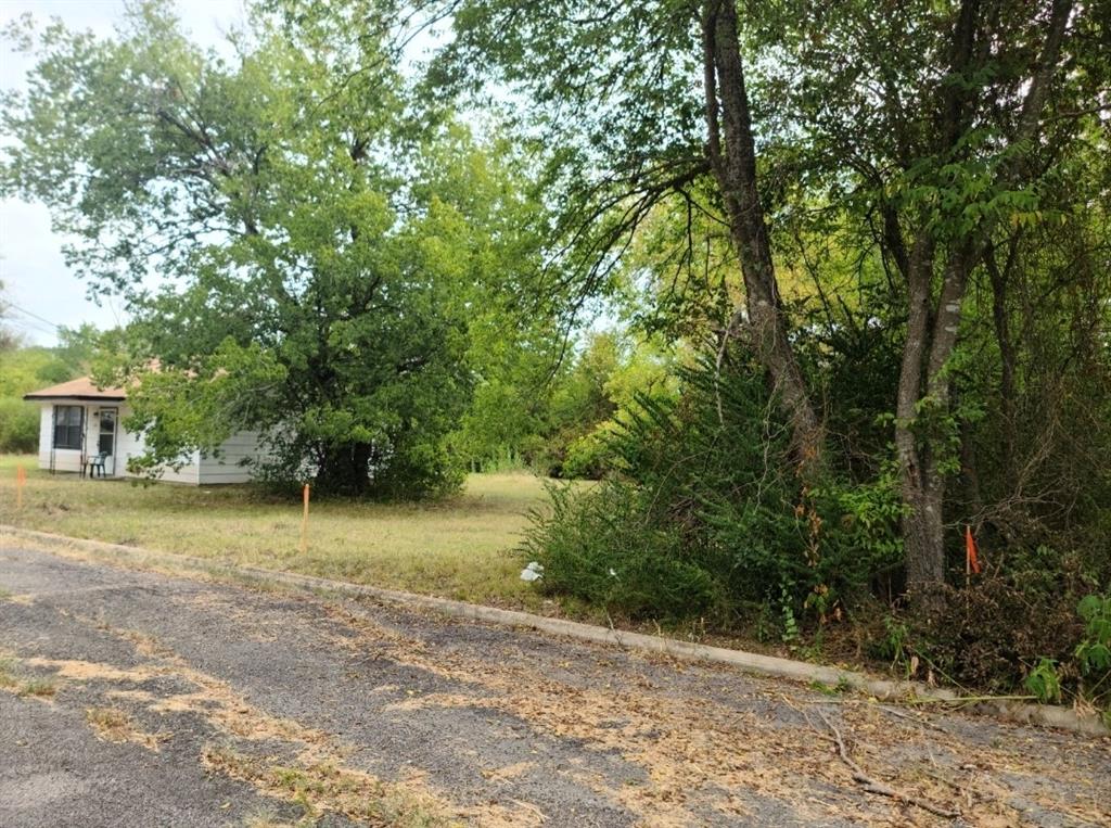 Tbd Mosley Street Commerce, TX 75428 - Photo 3 of 7 a view of a trees with a trees