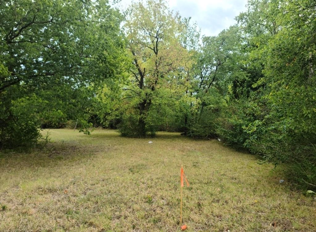 Tbd Mosley Street Commerce, TX 75428 - Photo 4 of 7 a view of a yard with a tree