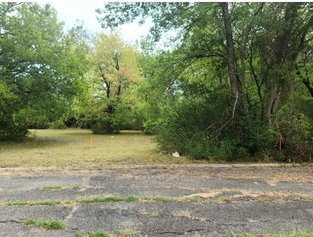 Tbd Mosley Street Commerce, TX 75428 - Photo 5 of 7 a view of a yard with a tree