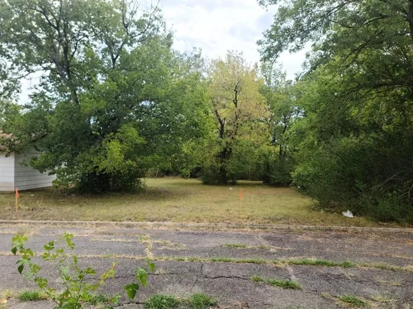 a view of a yard with a tree