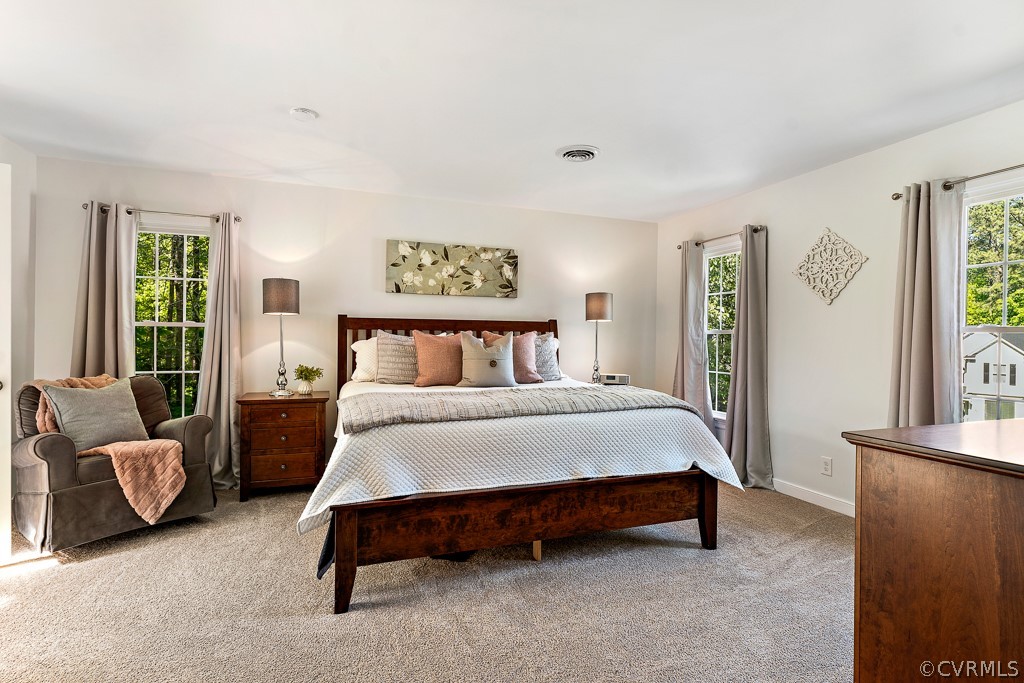 5407 Houndmaster Road Midlothian, VA 23112 - Photo 23 of 45 Gallery Image 23