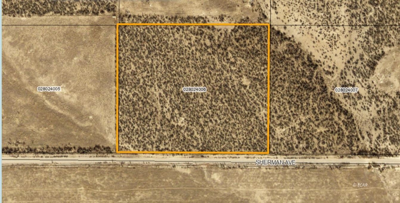 Sherman Ave Spring Creek Spring Creek, NV 89815 - Photo 12 of 13