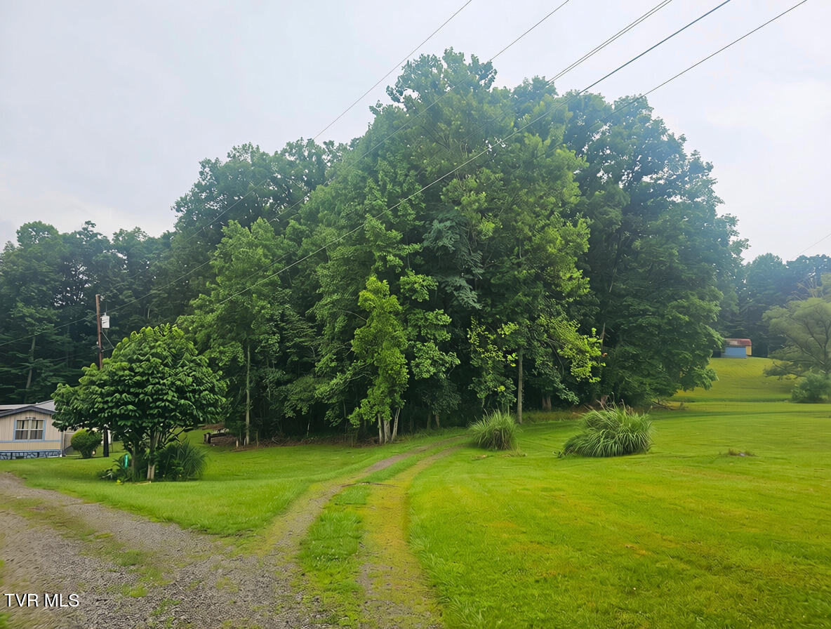 Tbd Gardner Heights Road, Unit 9 Norton, VA 24273 - Photo 2 of 14 view from road