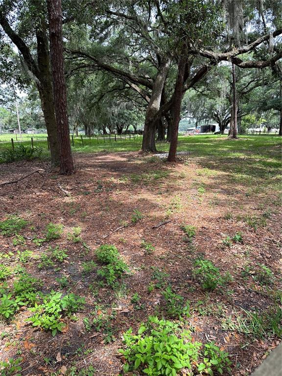 Lanier Road Plant City, FL 33565 - Photo 5 of 5 a view of outdoor space with trees