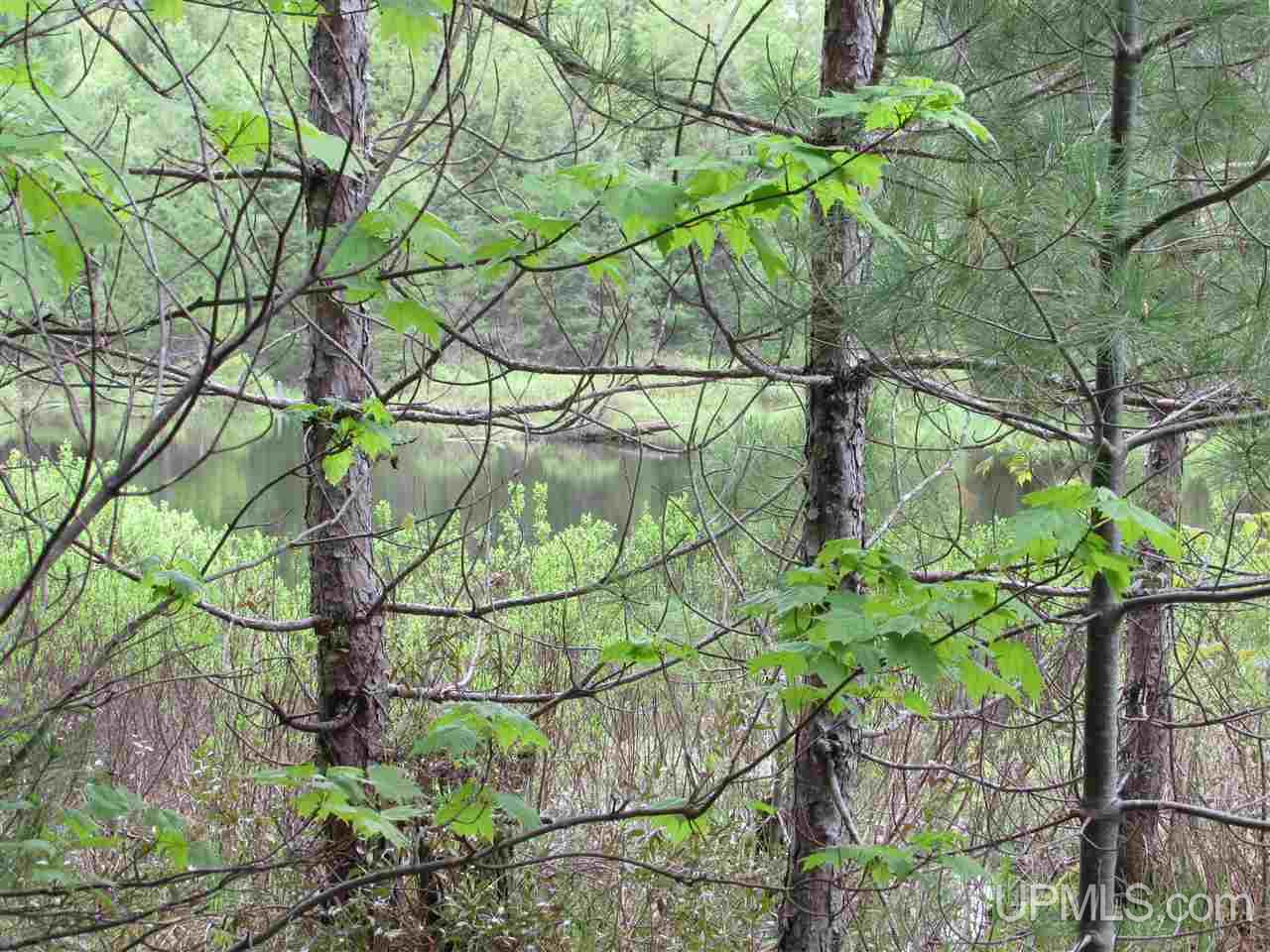 Tbd Sterling Road Wetmore, MI 49895 - Photo 10 of 13