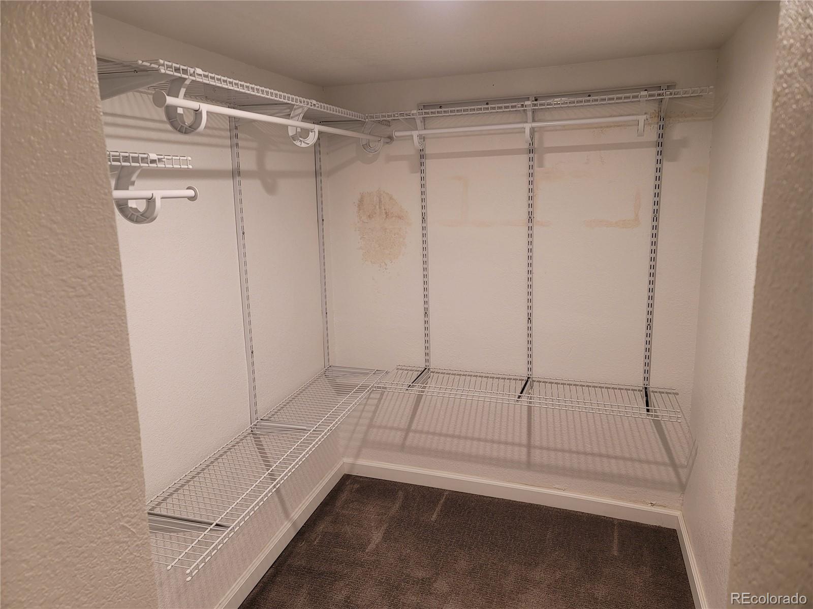 2834 Curtis Street, Unit 3 Denver, CO 80205 - Photo 22 of 22 a view of an empty walk in closet