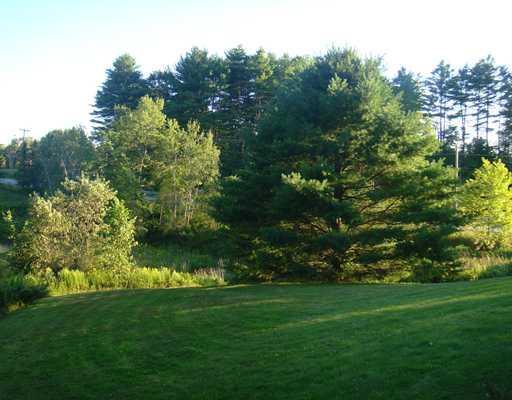 203 Main Street Cumberland, ME 04021 - Photo 4 of 18 Yard/Garden.