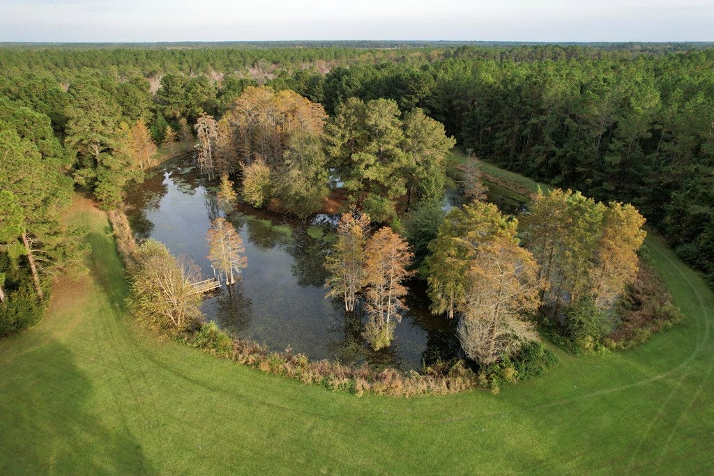 2900 Massee Post Road Adel, GA 31620 - Photo 23 of 29 Gallery Image 23