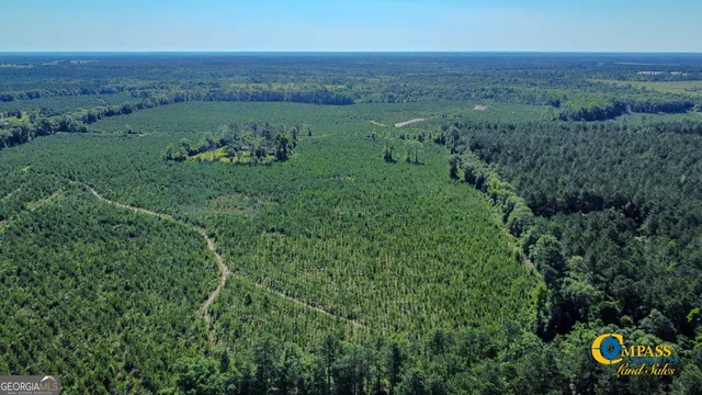 $128,625 | 0 Marvis Chapman Road, Ideal, GA 31041