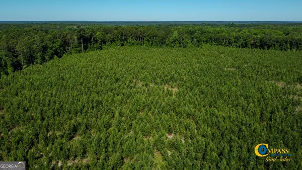 $128,625 | 0 Marvis Chapman Road, Ideal, GA 31041