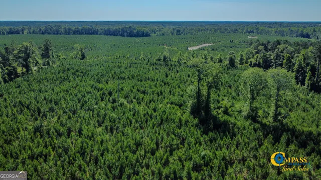 $128,625 | 0 Marvis Chapman Road, Ideal, GA 31041