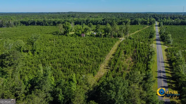 $128,625 | 0 Marvis Chapman Road, Ideal, GA 31041