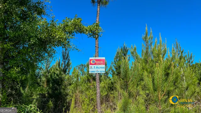 $128,625 | 0 Marvis Chapman Road, Ideal, GA 31041