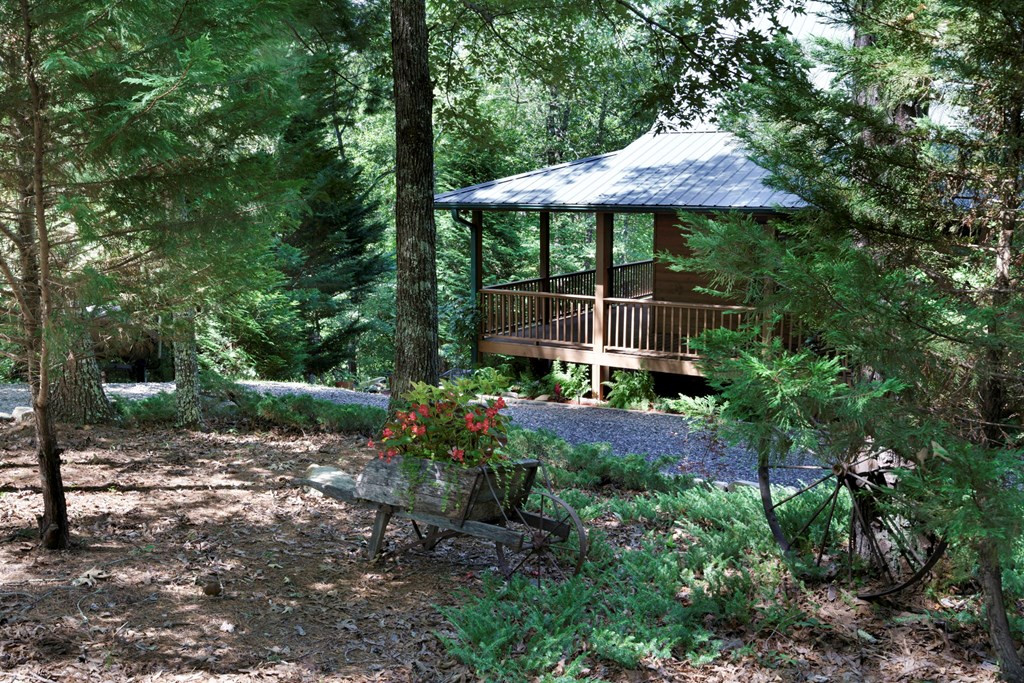 252 Dew Drop Lane Murphy, NC 28906 - Photo 43 of 45