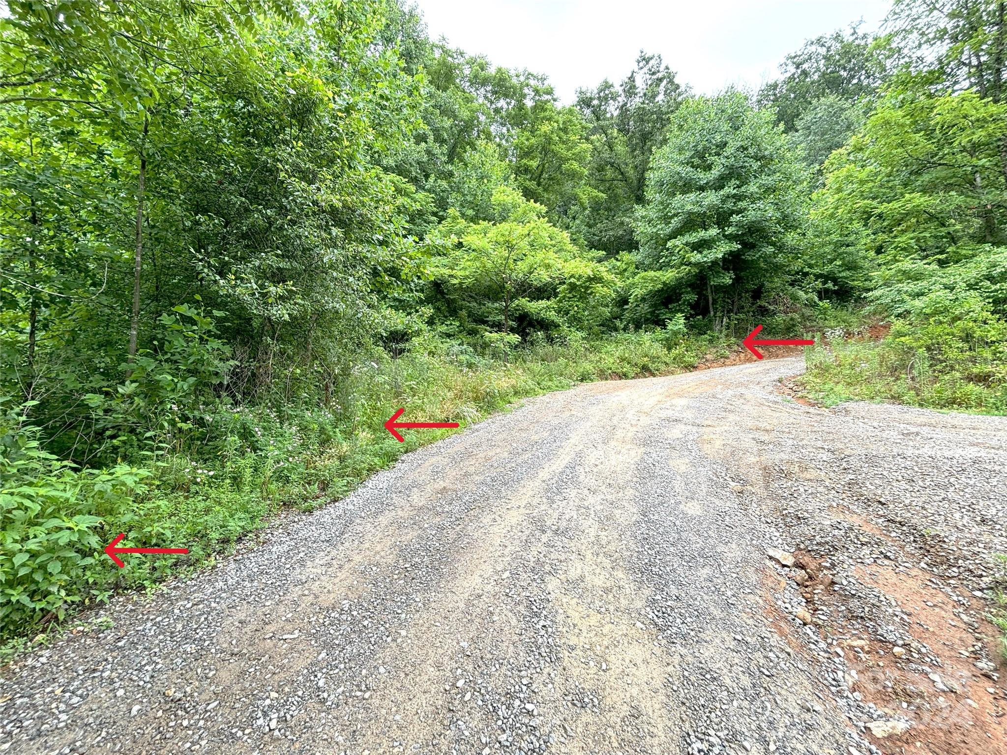 0 Revis Mountain Road Waynesville, NC 28785 - Photo 20 of 24 Gallery Image 20