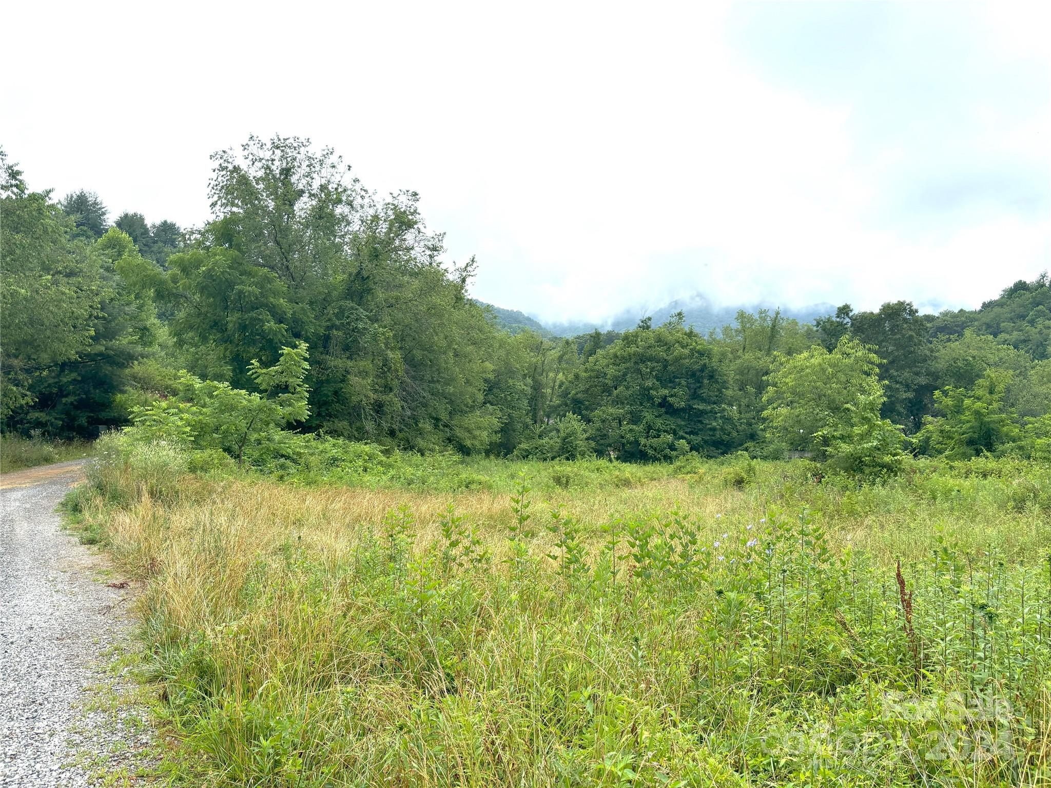 0 Revis Mountain Road Waynesville, NC 28785 - Photo 9 of 24 Gallery Image 9