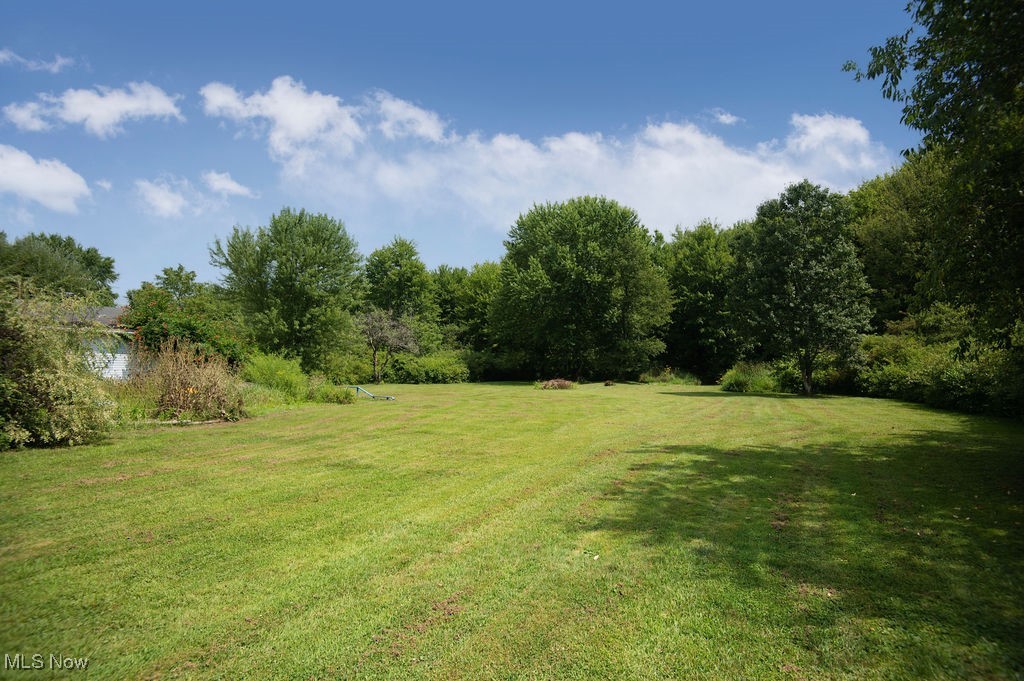 4594 Center Road Andover, OH 44003 - Photo 3 of 39 View of green lawn