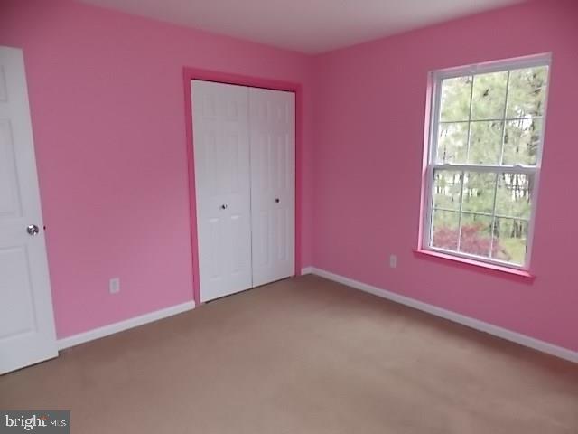 38 Hannah Lee Road Barnegat, NJ 08005 - Photo 14 of 17 Gallery Image 14