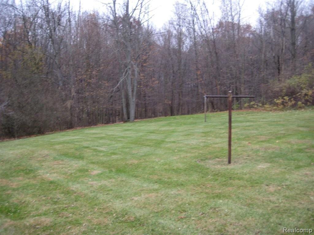 824 East Romeo Road Oakland, MI 48363 - Photo 3 of 16 3-BackYard.jpg