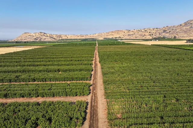 $3,120,000 | 3905 South Hills Valley Road, Orange Cove, CA 93646