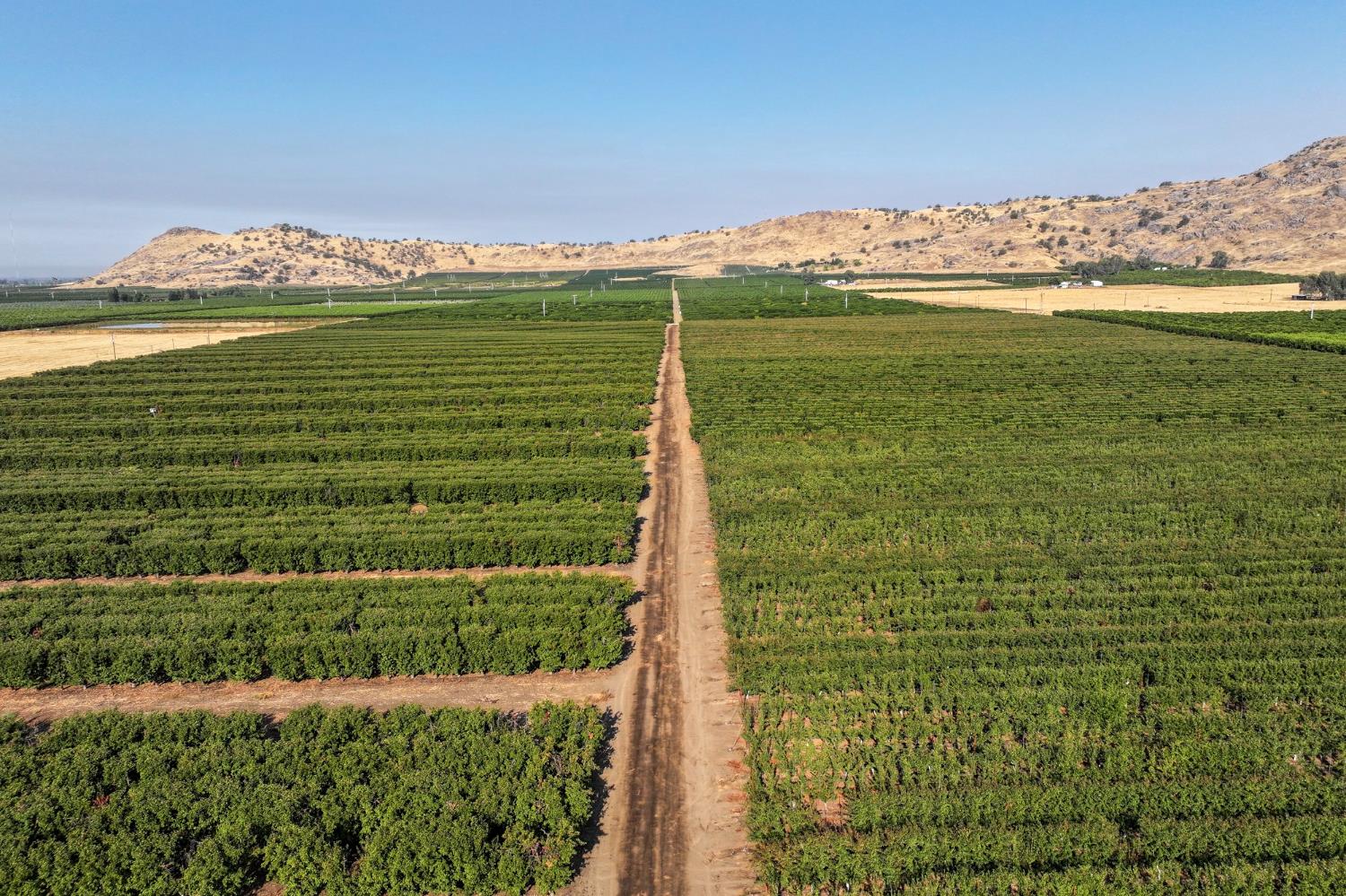 3905 South Hills Valley Road Orange Cove, CA 93646 - Photo 2 of 12 a view of a field with an ocean view