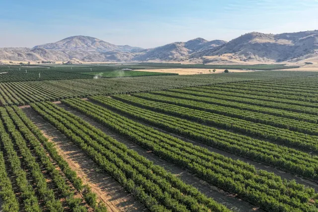 $3,120,000 | 3905 South Hills Valley Road, Orange Cove, CA 93646