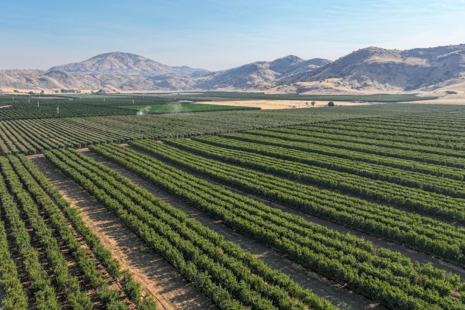 3905 South Hills Valley Road Orange Cove, CA 93646 - Photo 4 of 12 a view of a town with a lake view