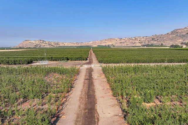 $3,120,000 | 3905 South Hills Valley Road, Orange Cove, CA 93646