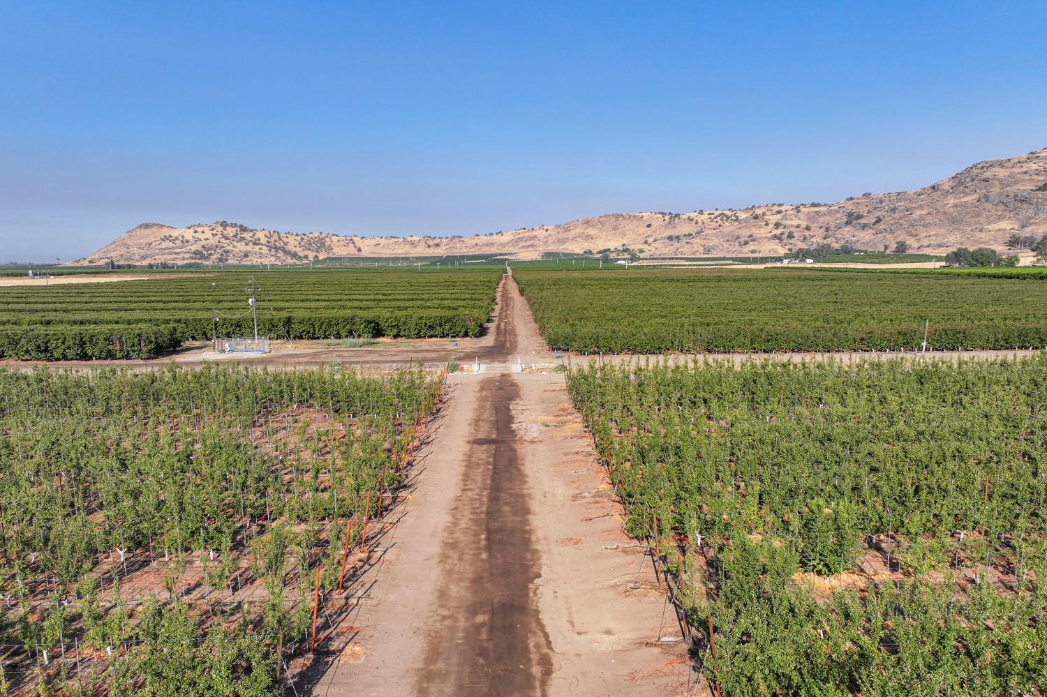 3905 South Hills Valley Road Orange Cove, CA 93646 - Photo 6 of 12 a view of a lake with a big yard