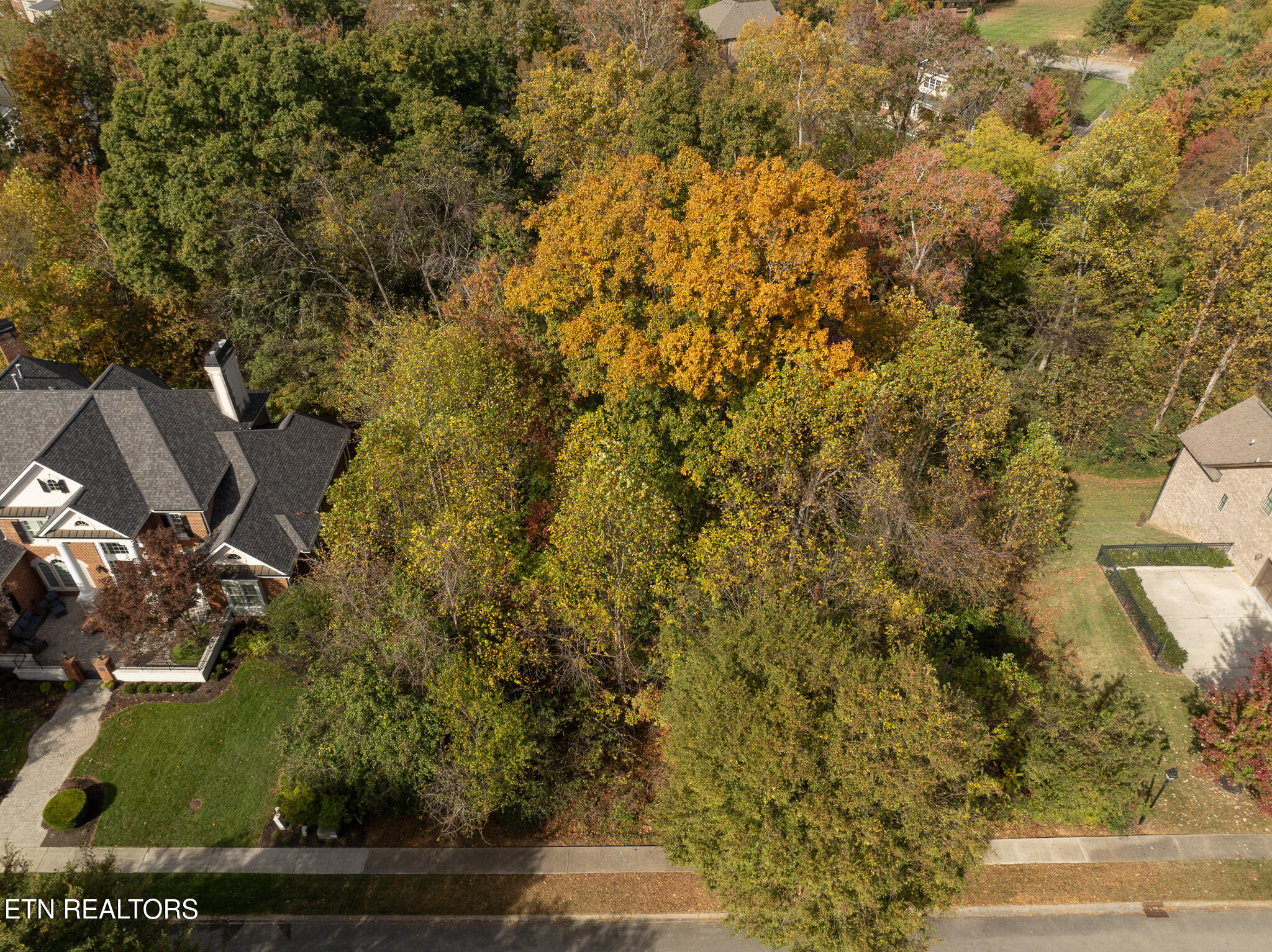 865 Belle Grove Road Knoxville, TN 37934 - Photo 3 of 9 untitled-5