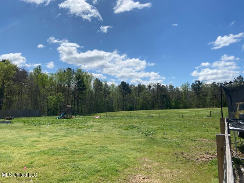 68 Belle Meade Road Holly Springs, MS 38635 - Photo 18 of 25 19 Backyard
