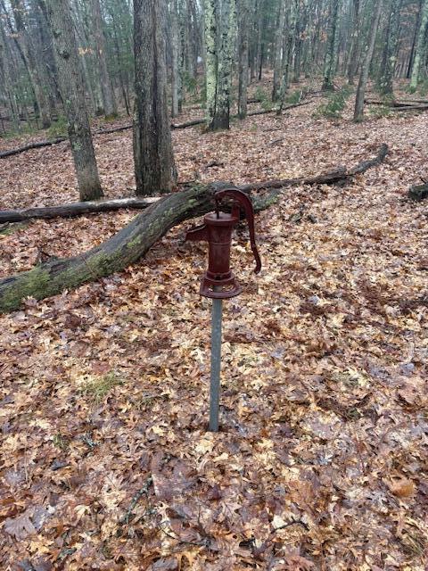 9240 West River Road Irons, MI 49644 - Photo 11 of 13 IMG_1603