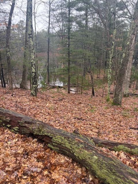 9240 West River Road Irons, MI 49644 - Photo 12 of 13 IMG_1604