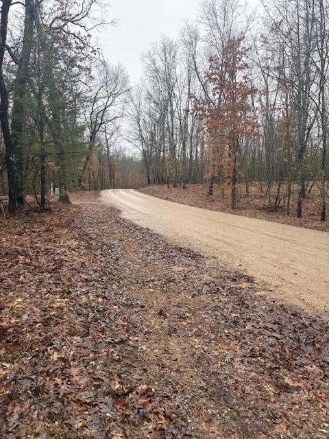 9240 West River Road Irons, MI 49644 - Photo 13 of 13 IMG_1599