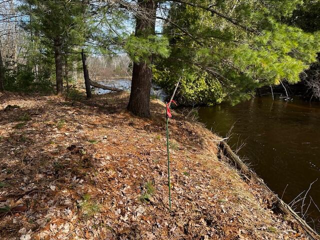 9240 West River Road Irons, MI 49644 - Photo 2 of 13 IMG_1318