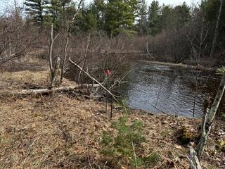 9240 West River Road Irons, MI 49644 - Photo 4 of 13 IMG_1316