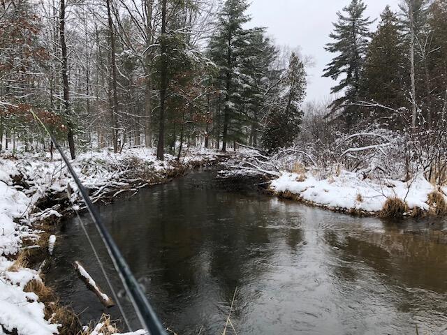 9240 West River Road Irons, MI 49644 - Photo 5 of 13 IMG_2187