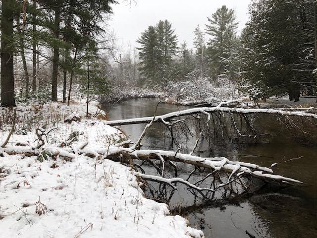 9240 West River Road Irons, MI 49644 - Photo 6 of 13 IMG_2189