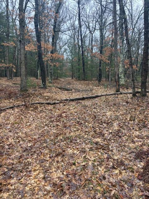 9240 West River Road Irons, MI 49644 - Photo 7 of 13 IMG_1598