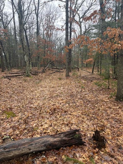 9240 West River Road Irons, MI 49644 - Photo 8 of 13 IMG_1600