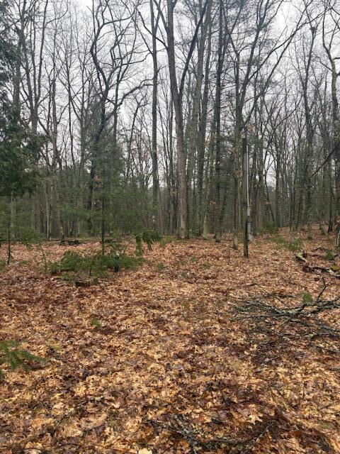 9240 West River Road Irons, MI 49644 - Photo 9 of 13 IMG_1601