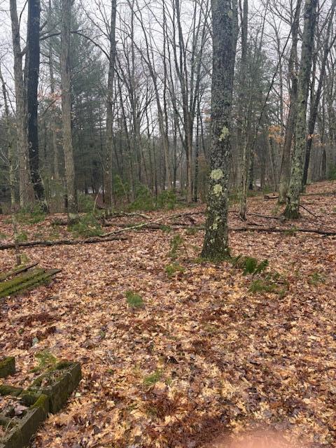 9240 West River Road Irons, MI 49644 - Photo 10 of 13 IMG_1602