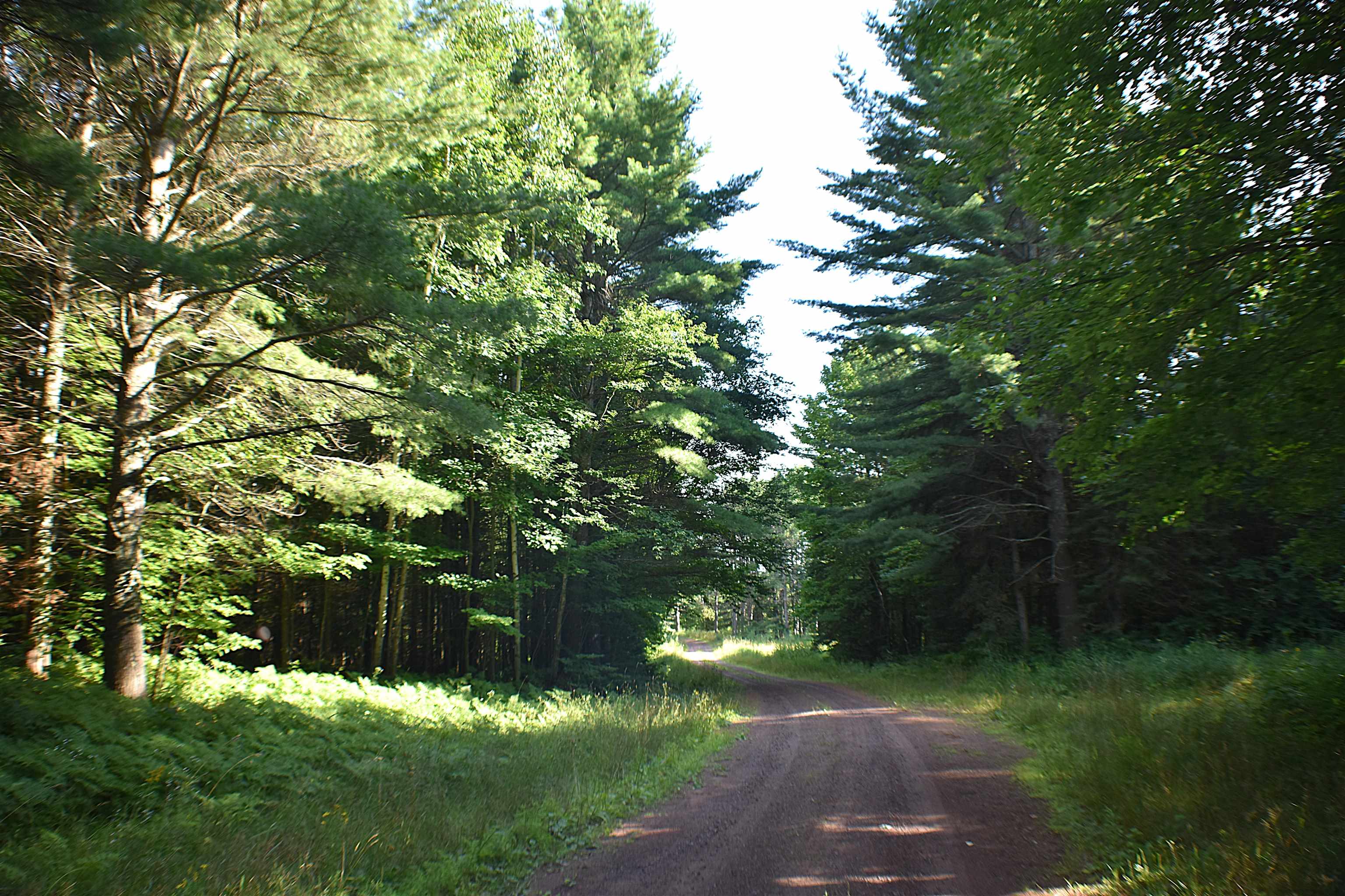 28230 Paulson Road Washburn, WI 54891 - Photo 29 of 52 Gallery Image 29