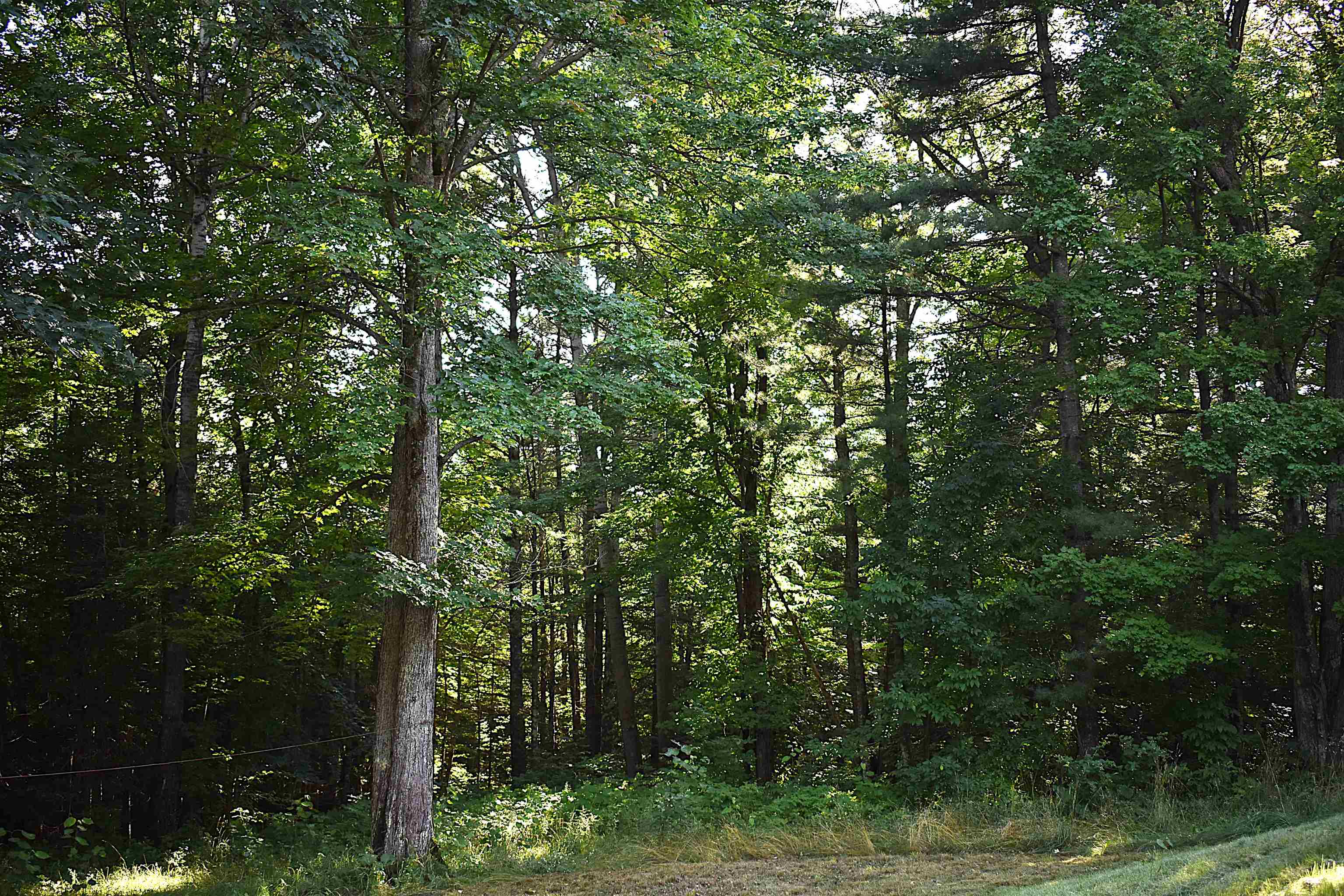28230 Paulson Road Washburn, WI 54891 - Photo 44 of 52 Gallery Image 44