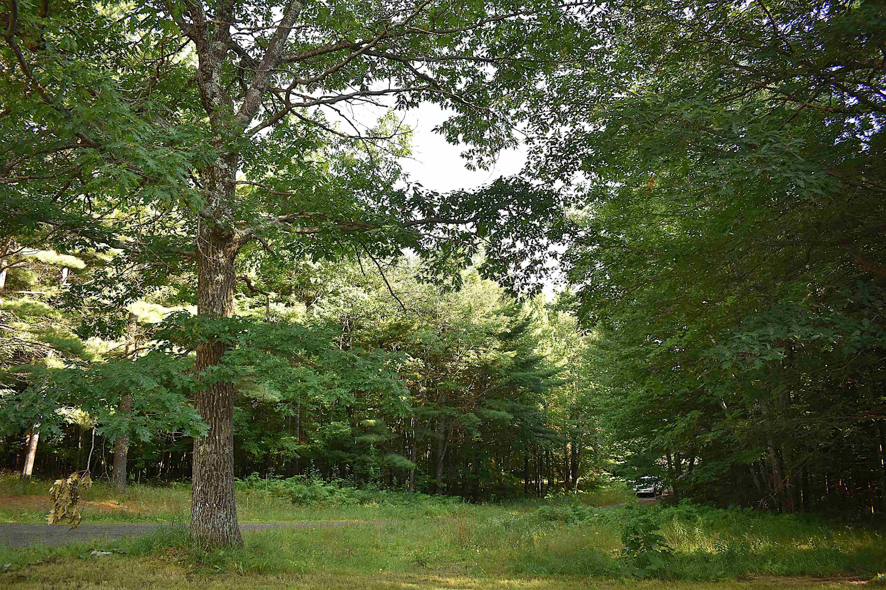 28230 Paulson Road Washburn, WI 54891 - Photo 45 of 52 Gallery Image 45